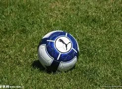 杏彩体育平,台首页官网,入口,杏彩体育平台官网入口,杏彩体育官方网站,杏彩体育平台首页官网入口,杏彩体育app最新版下载