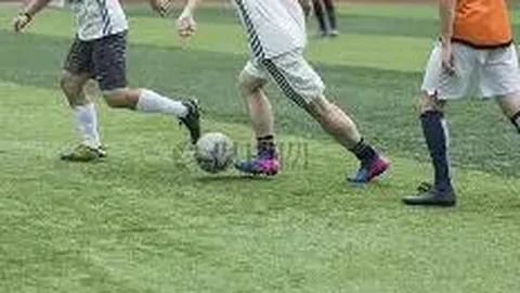 网络文学前景广阔，成就非凡