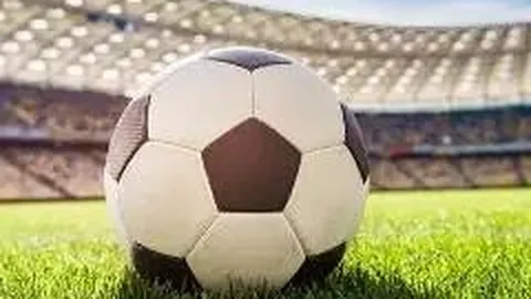 杏彩体育平台首页官网入口 资讯 101339 ynp