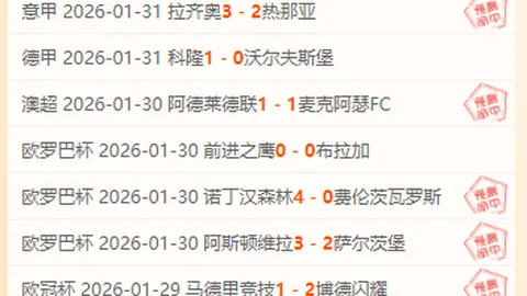 骆建佑羽球印度赛不敌安赛龙，晋级征程受阻